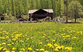 Chalet Rosa dei Monti